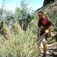 Big Bend trail, Texas