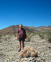 <i>Echinocactus polycephalus</i> - Death Valley