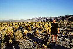 Joshua Tree Park