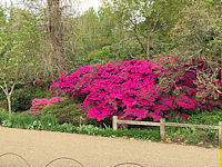 EHS coach trip 2022: RHS Wisley Garden