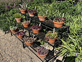 EHS coach trip 2025: RHS Wakehurst Place