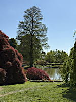 EHS coach trip 2025: RHS Wakehurst Place