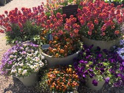 EHS coach trip 2026: RHS Hyde Hall