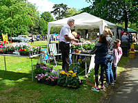 Eastcote House Gardens Plant Sale 2015