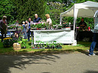 Eastcote House Gardens Plant Sale 2015