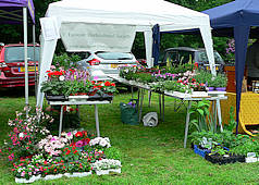 Eastcote House Gardens Plant Sale 2016