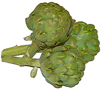 artichoke