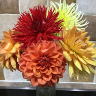 Barbara Betterton - vase of Dahlias