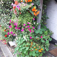 Chris Groom - hanging baskets at home.