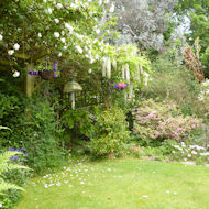 Margaret Bacon - back garden in Eastcote