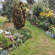 Maureen Pidgeon - my garden during the dry spell.