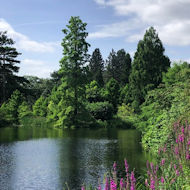 Alan Thomas - Royal Botanic Gardens, Kew