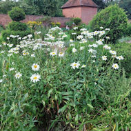 Chris Groom - Eastcote House Gardens