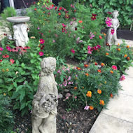 Leslie Dearlove - my garden