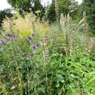 Sue Place - Eastcote House Gardens