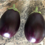 Entry: 2501 - Alan Thomas, Aubergine Jackpot - 1st