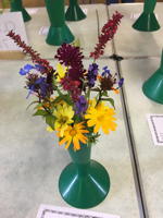 EHS Autumn Show 2025