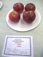 EHS Autumn Show 2025
