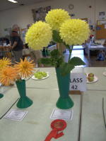 EHS Autumn Show 2025