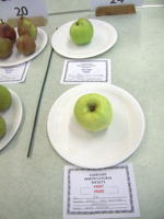 EHS Autumn Show 2025