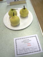 EHS Autumn Show 2025