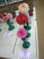 EHS Autumn Show 2025