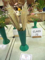 EHS Autumn Show 2025