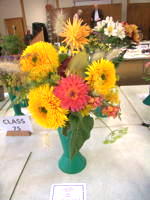 EHS Autumn Show 2025