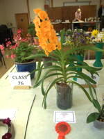 EHS Autumn Show 2025
