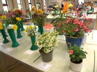 EHS Autumn Show 2025