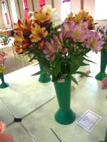 EHS Autumn Show 2025
