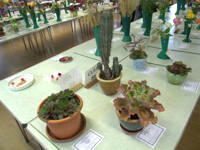 EHS Autumn Show 2025