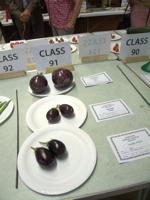 EHS Autumn Show 2025