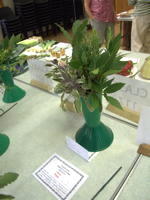 EHS Autumn Show 2025