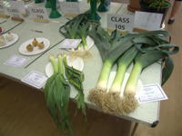 EHS Autumn Show 2025