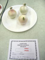 EHS Autumn Show 2025
