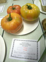EHS Autumn Show 2025