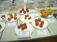 EHS Autumn Show 2025