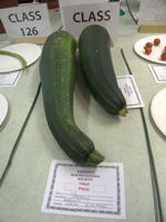 EHS Autumn Show 2025