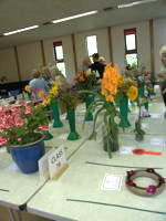 EHS Autumn Show 2025