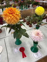 EHS Autumn Show 2026