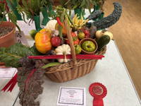 EHS Autumn Show 2026