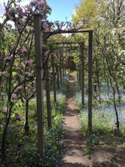 Gerry Edwards - Part of one of my orchards at blossoming time.