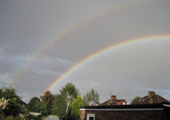 John Perryman's garden - rainbow.