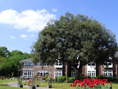 Jacquie Scott - St. Vincents Nursing Home