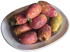 Opuntia fruit