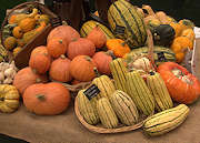 gourd display
