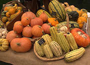 display of mixed gourds