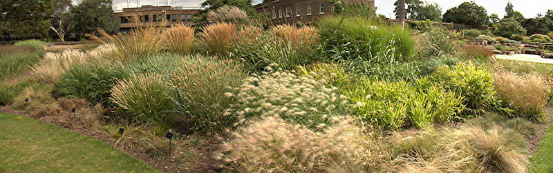 grass garden, RBG Kew