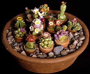 model cacti